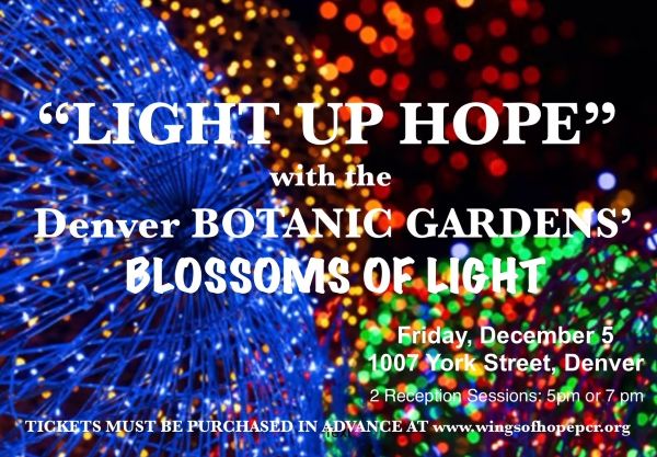 2025 Light Up Hope at the Denver Botanic Gardens